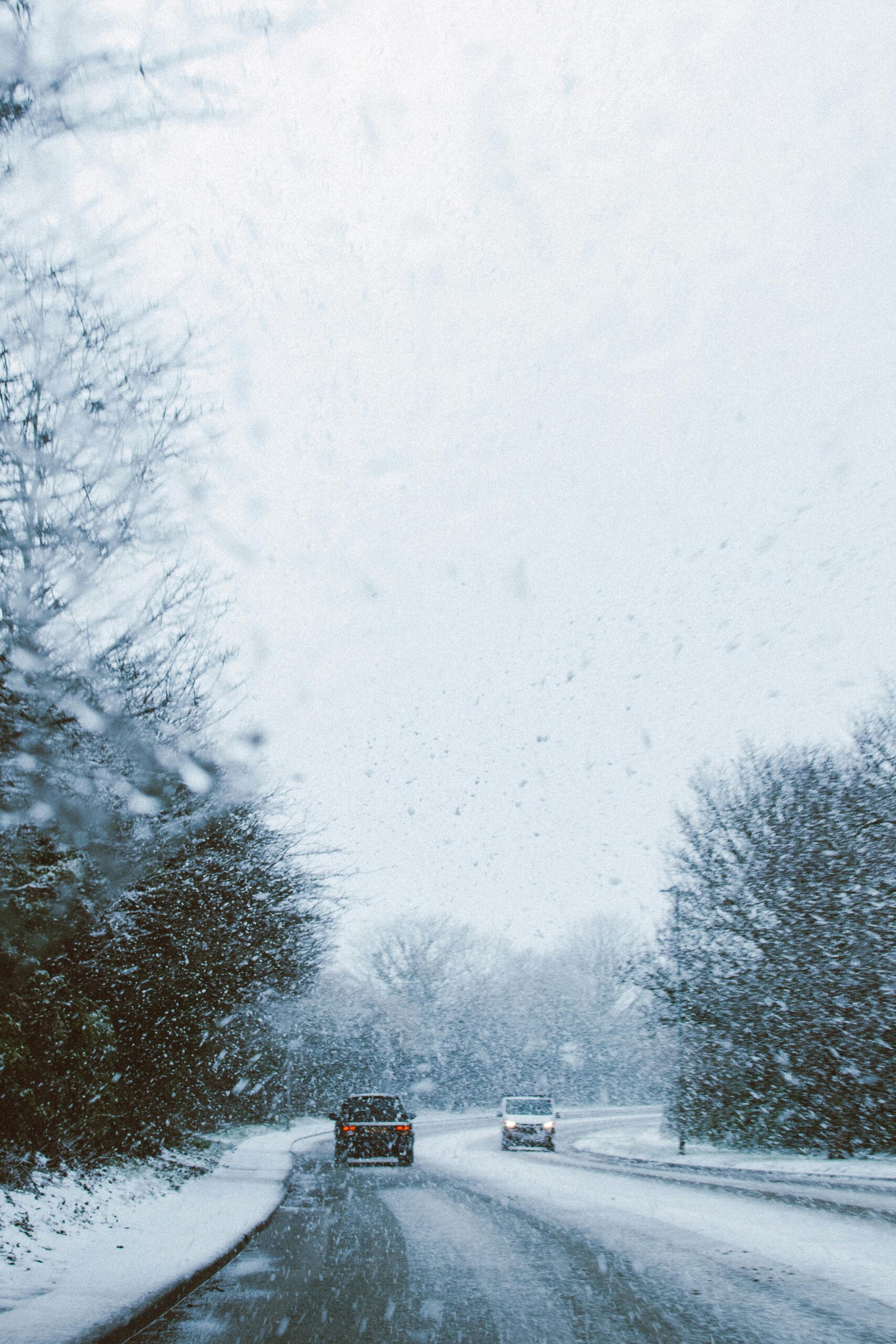 A scenic winter road with cars driving through a snowstorm, surrounded by frosty trees.