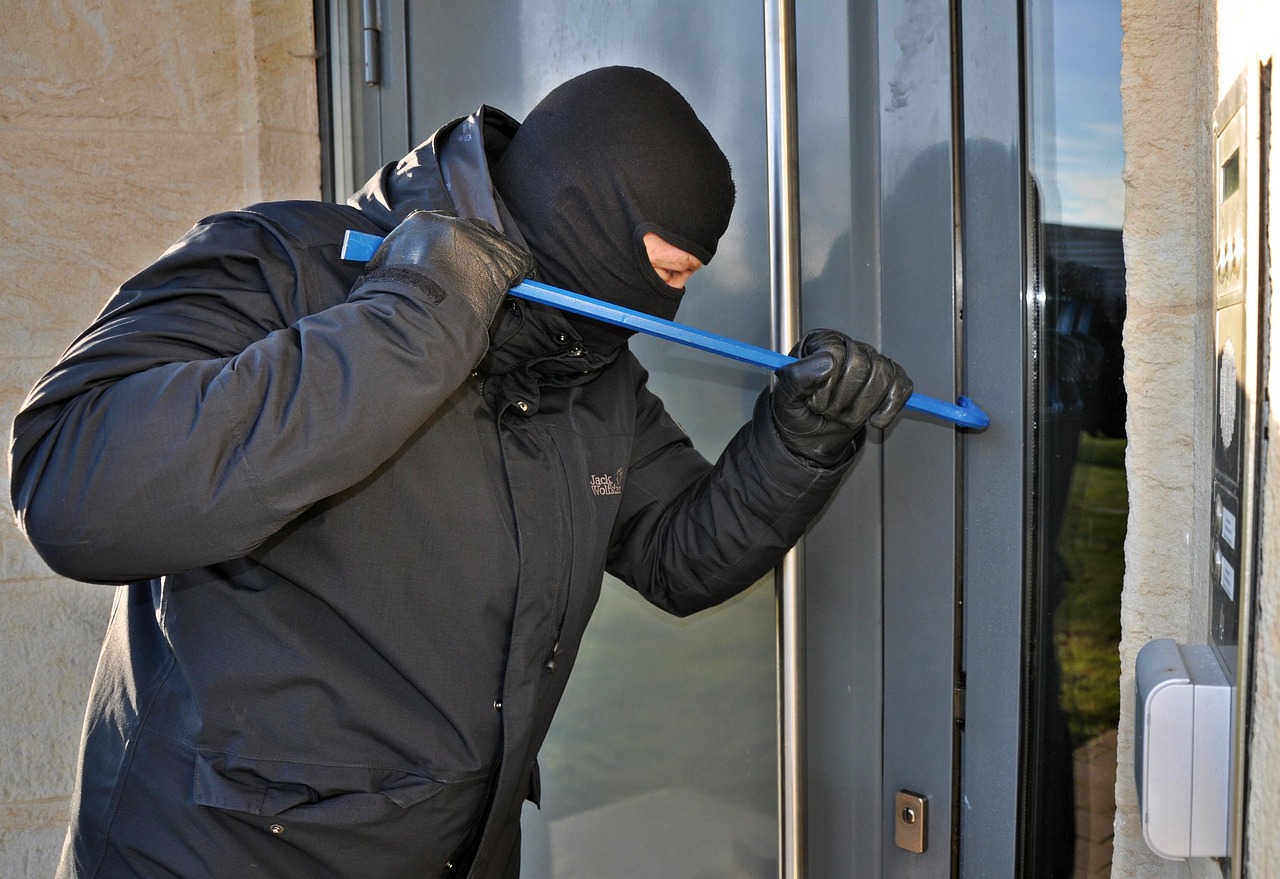 burglar, mask, kuhfuss, burglar, burglar, burglar, burglar, burglar