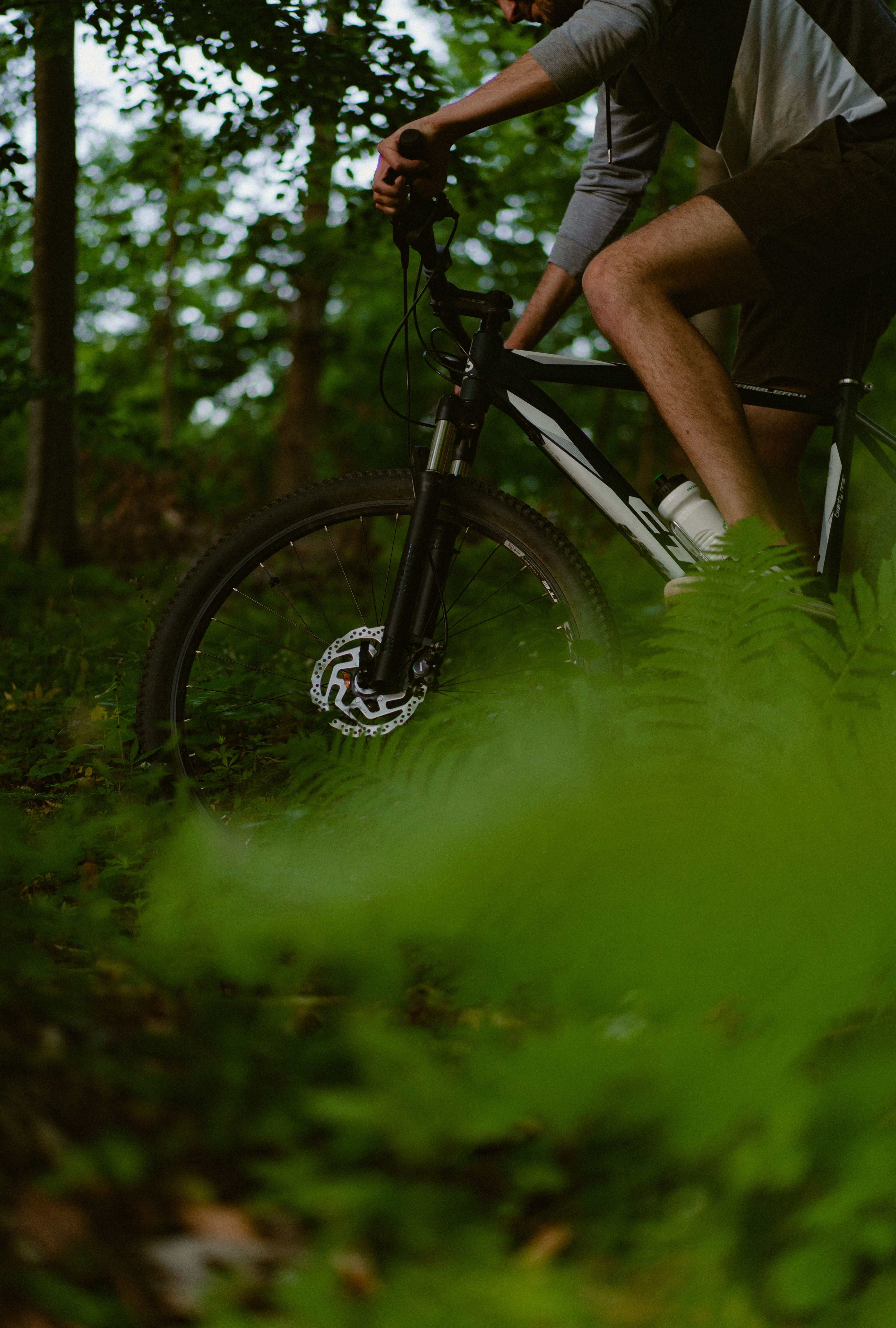 A man riding a mountain bike through a lush green forest trail.