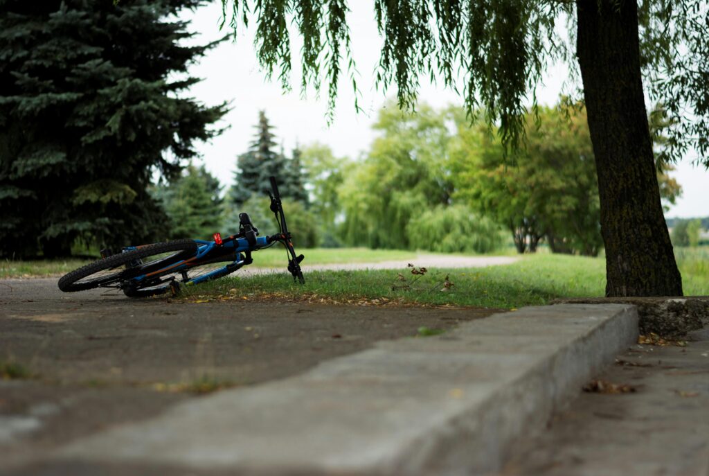 A blue bicycle lying on a park path surrounded by lush greenery on a summer day.